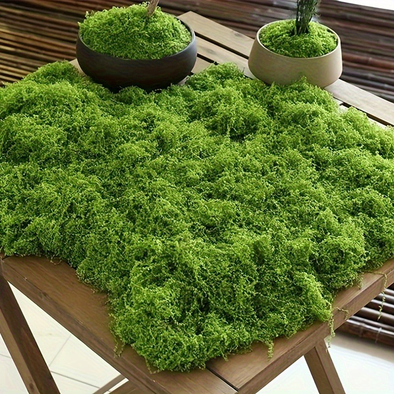 Green Fake Moss DIY Crafts Gra - огляд і ціна Terrarium Moss Art
