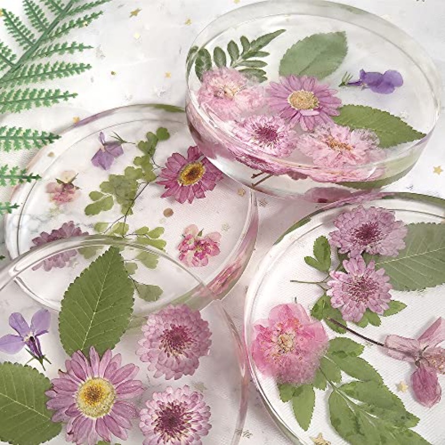 6-Cavity Deep Round Coaster Mo - огляд і ціна Coaster Mold Round